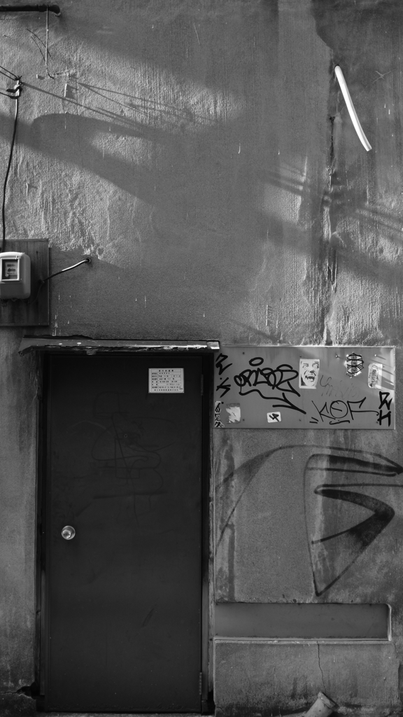 quiet color#307