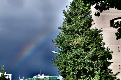 都会の空に虹が出たよ！