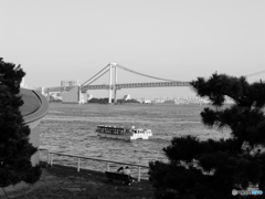 tokyo monochrome#770