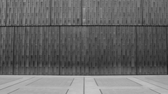 quiet color#760