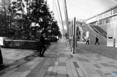 tokyo monochrome# (1159)