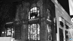 tokyo monochrome#805