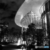 tokyo monochrome# (1205)