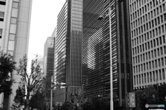 tokyo monochrome#847