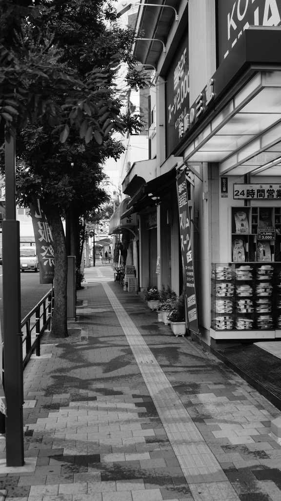 tokyo monochrome#230