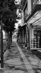 tokyo monochrome#230