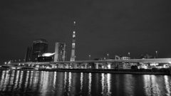 midnight silver tower 