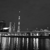 midnight silver tower 