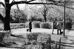 tokyo monochrome#613