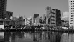 tokyo monochrome#634