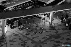 tokyo monochrome#843