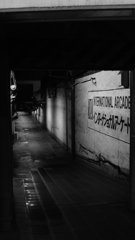 tokyo monochrome#388