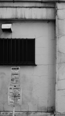 quiet color#339