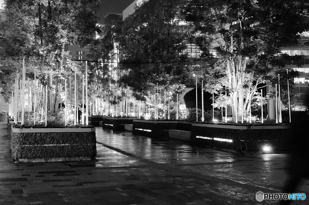 tokyo monochrome#840