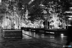 tokyo monochrome#840