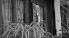 tokyo monochrome#708