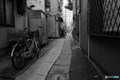 street-phot #(11)