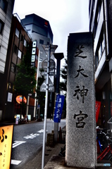 street coner illusion (446)