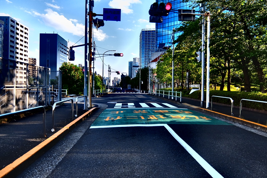 road of early summer