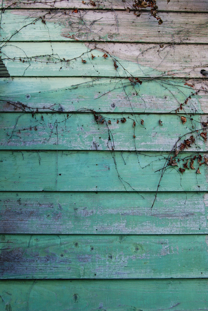 quiet color#76