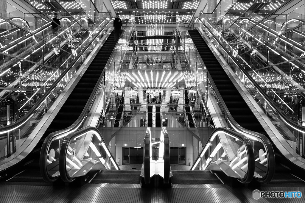 敢えてモノクロにしてみた