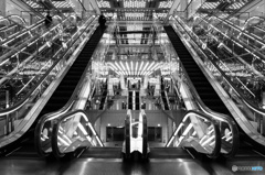 敢えてモノクロにしてみた