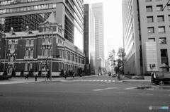 Tokyo monochrome# (1212)