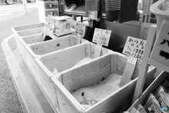 tokyo monochrome# (1581)