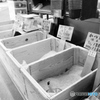 tokyo monochrome# (1581)