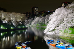 千鳥ヶ淵 夜桜