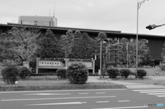 tokyo monochrome#775