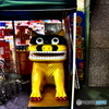 street coner illusion (154)