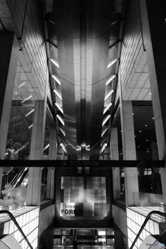 tokyo monochrome#973~Vertical position