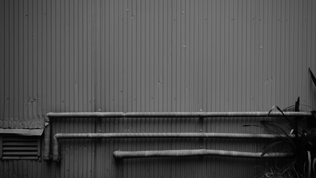 quiet color#200