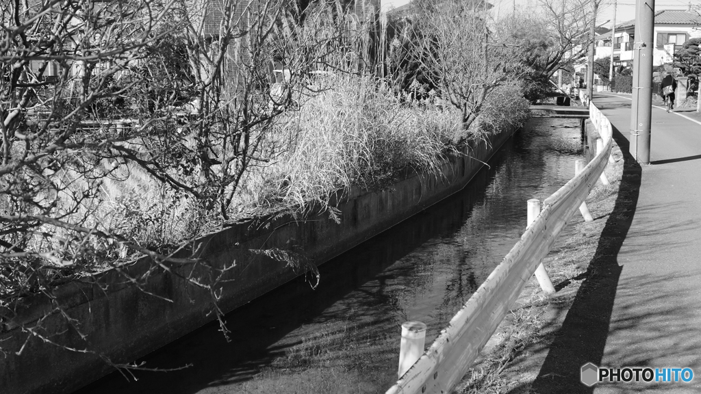 tokyo monochrome# (1143)