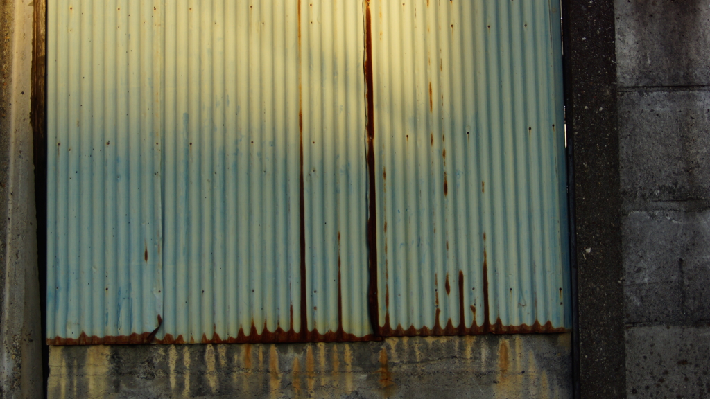 quiet color#208