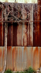 quiet color#361