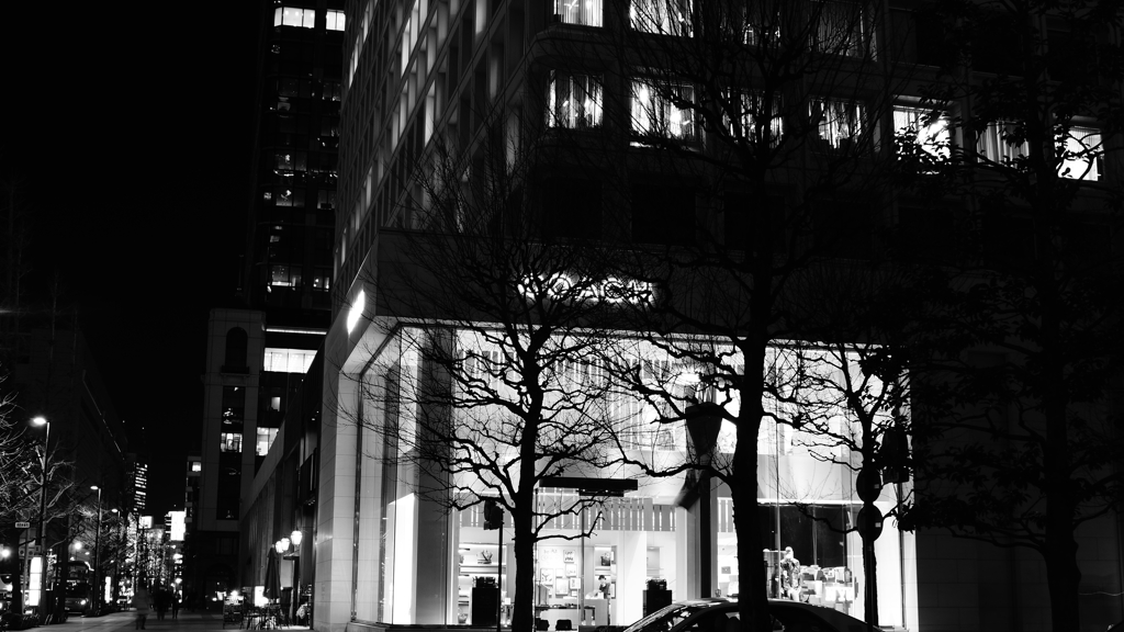 tokyo monochrome#240