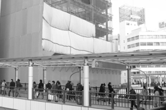 tokyo monochrome# (1686)