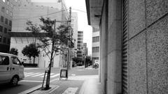 tokyo monochrome#561