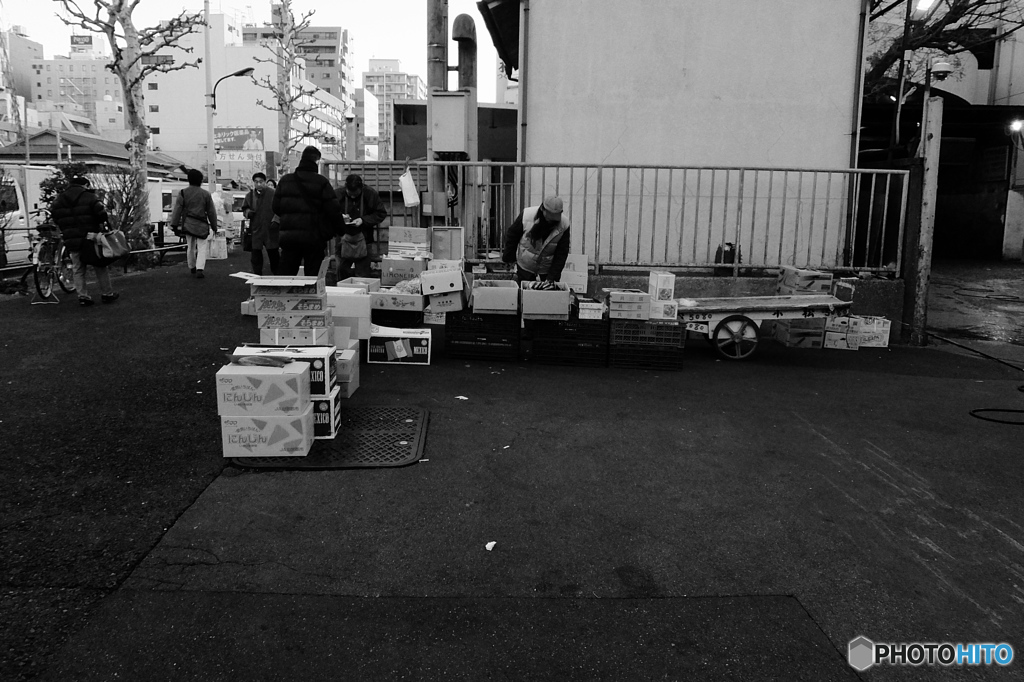 tokyo monochrome# (1565)