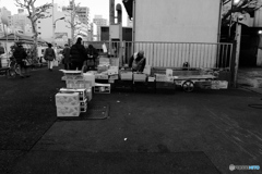 tokyo monochrome# (1565)