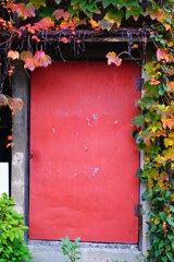 quiet color#391
