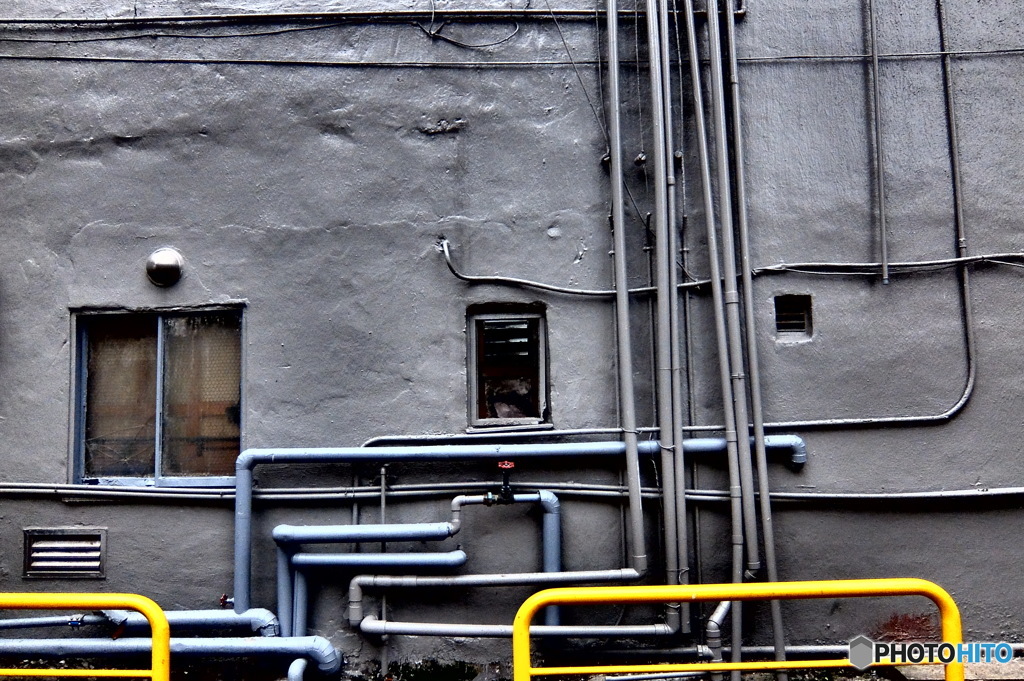 quiet color#860