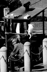 tokyo monochrome#283