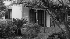 トイスラー記念館 -聖路加看護大(3)