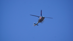 警視庁航空隊 おおとり7号(JA17MP) 