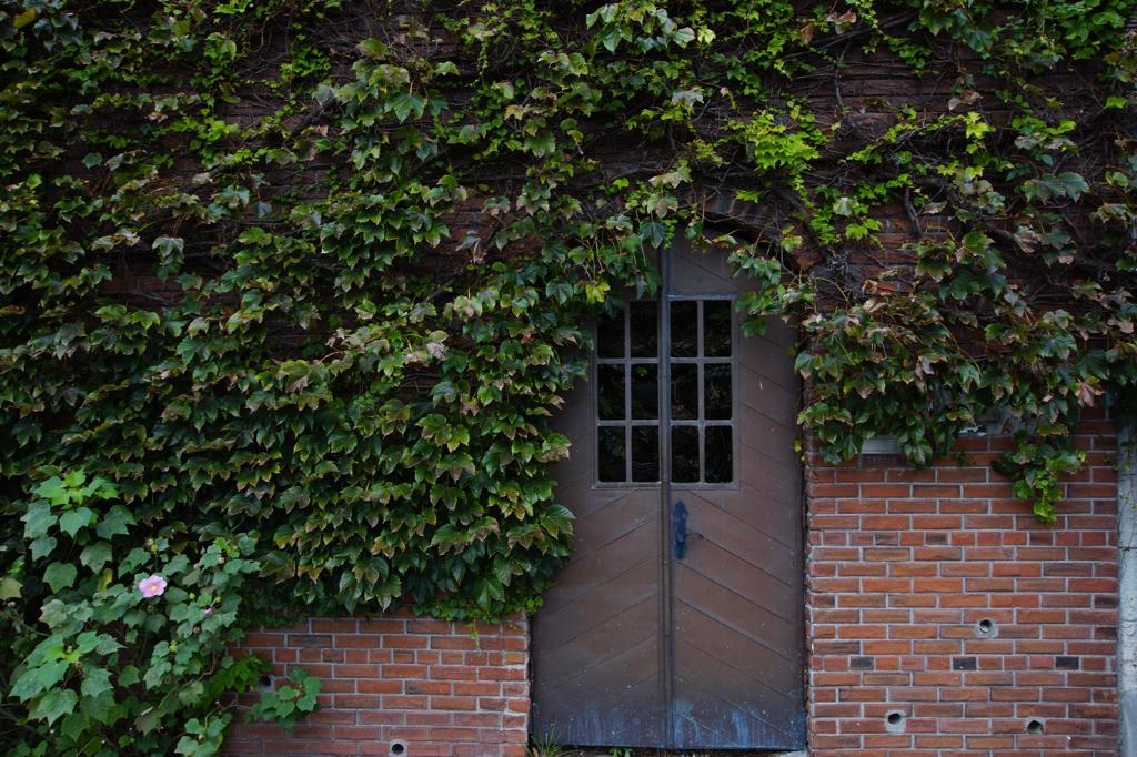 quiet color#143