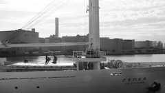 tokyo monochrome#653