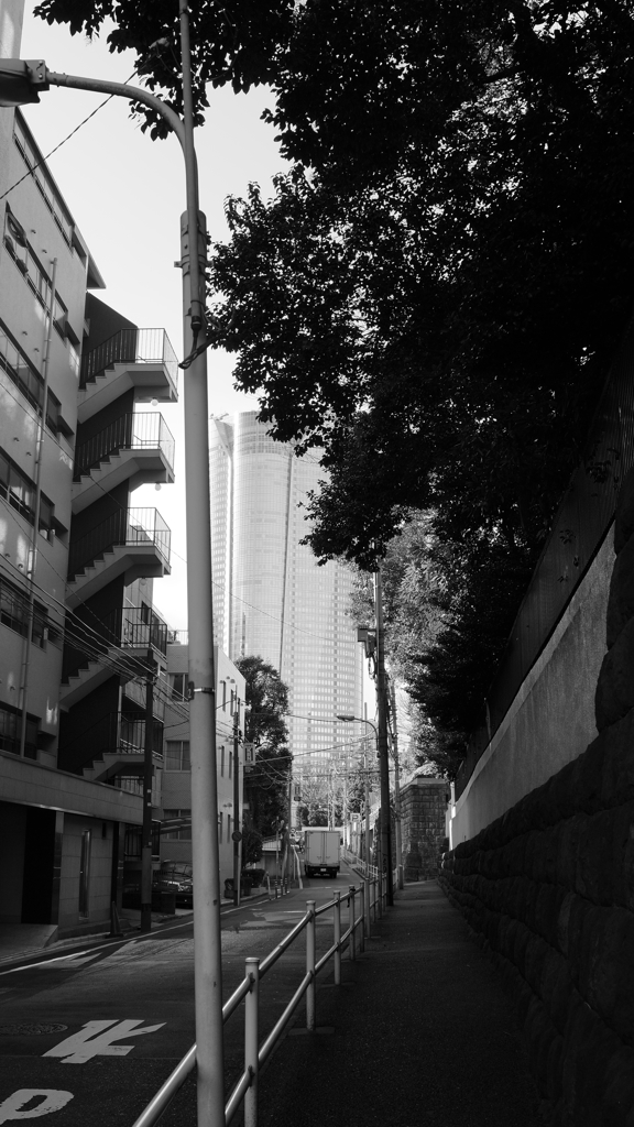 tokyo monochrome#529